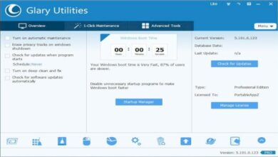 Glary Utilities Pro v5.183.0.212