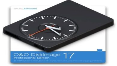 O&O DiskImage Professional / Server 17.4 Build 460