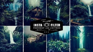 فلاتر جديدة Forest Photoshop Actions & Lightroom Presets - YZMZXWS