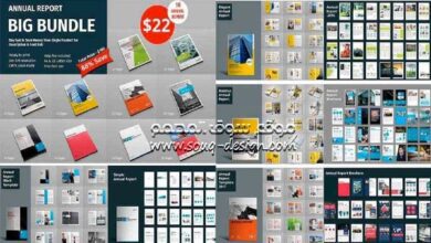 Big Bundle Annual Report For Adobe InDesign