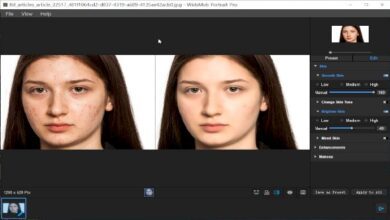 WidsMob Portrait Pro 2.0.0.190 Multilingual