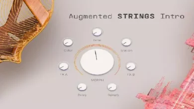 Arturia Augmented STRINGS 1.1.1 (x64)