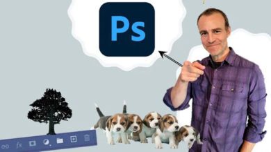 Photoshop Essentials & Beyond - Beginning & Advance combined