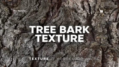 20 نسيج لحاء الشجر Tree Bark Textures - 7488659