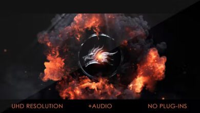 Videohive - Fire Dragon Logo Intro - 39798073