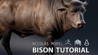 Gumroad - Nicholas Morel - Bison Tutorial