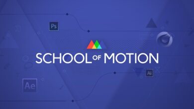 تجميعة كورسات محدثة من School of Motion حصريا