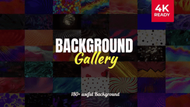 Videohive – Background Gallery – 42616702