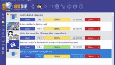 Ant Download Manager Pro v2.9.1.83632