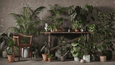 48 Interior 3D Plants Pack 01 | 3DCollective