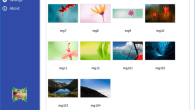 Light Image Resizer 6.1.7 Multilingual