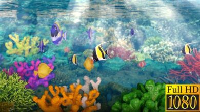 Videohive Underwater Logo 40826308