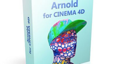 Arnold 4.6.5.1 for Cinema 4D 2024 RePack